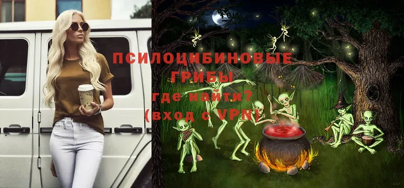 Галлюциногенные грибы Magic Shrooms Куса